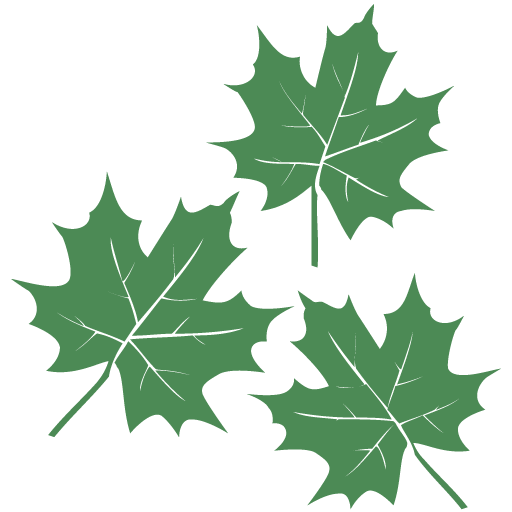 Manutenzione del prato - Clodi Giardinaggio